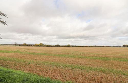 The Gallops - Foto 30