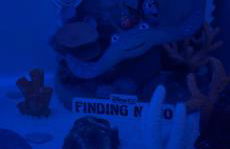 La Belle et le Nooki - Foto 64