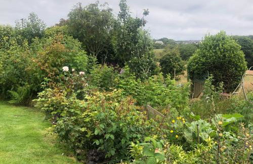 Little Valley View - Foto 18