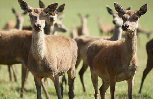 Walesby House - Foto 8