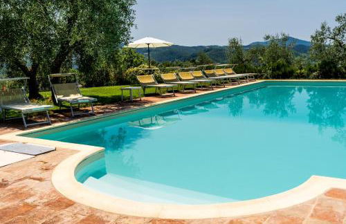 Poggio Agli Ulivi - Foto 7