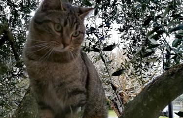 Casa di Campagna in Toscana - Foto 148