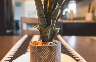 Rose Ranch - Charming Country Home - Foto 68