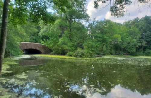 Park-Side Home in Jamaica Plain - Foto 7