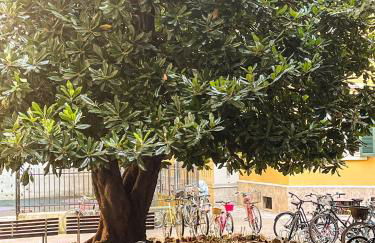 Divini Gae Aulenti - Foto 39