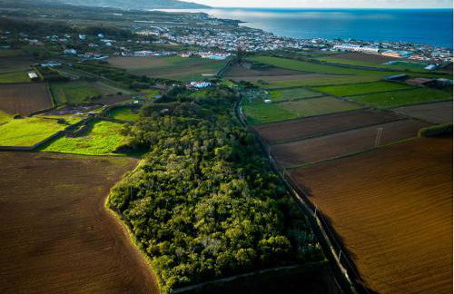 Quinta Morazes Casas de Campo - Photo 30