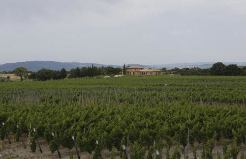 Agriturismo Poggio al Tufo - Foto 102