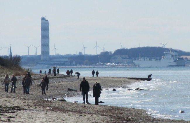 Bolliger Modern Retreat - Foto 13