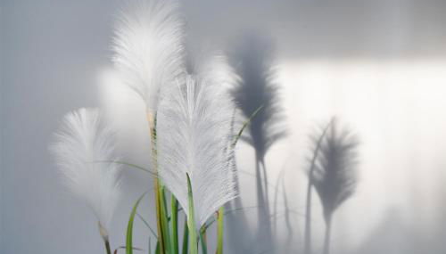 Friesenstraße 13 - Foto 4, Garden view