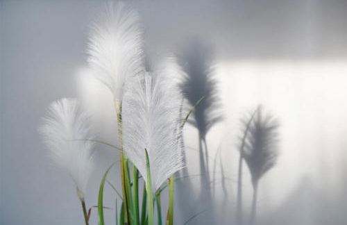 Friesenstraße 13 - Photo 4