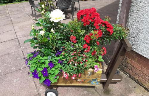 Torrent Cottage - Foto 10