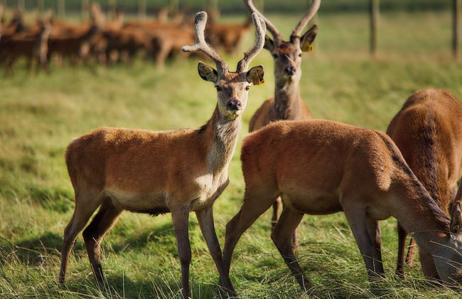 Mauldslie Hill Cottage - Photo 13