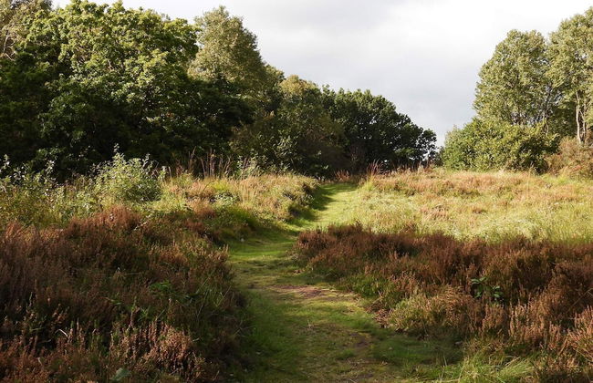 Rustic Farmhouse Getaway - By Traum Ferienwohnungen - Foto 24