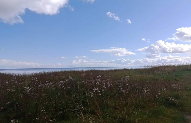 Holiday Home in Hadsund - Photo 13