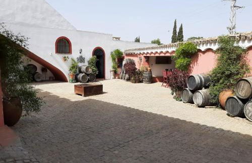 Finca Rural La Cañera 16 huéspedes - Foto 17