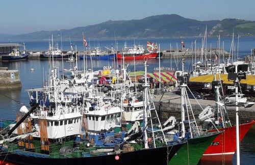 LOA GETARIA - Foto 20