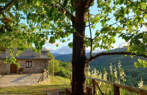 Casa da Costa de Sueiro - Foto 32