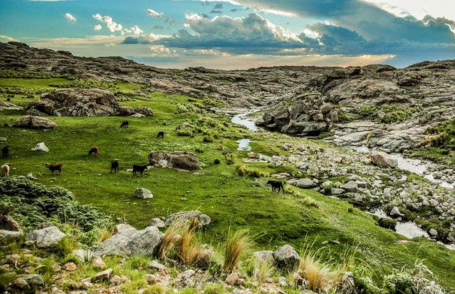 Excursion à la Vallée de Traslasierra - Photo 2