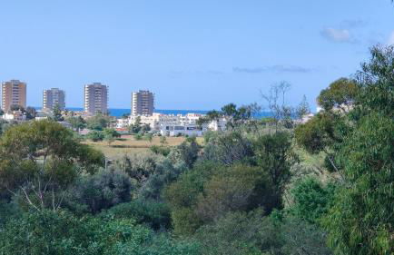 EstrelasDourada ALVOR Limoeiro - Foto 61