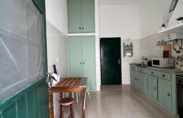 Santuário SOS Animal - Foto 37