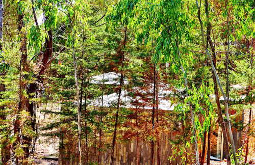 Herdade Clube Tiro Monfortinho - Foto 56