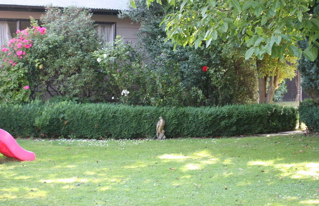 Walnut Grove Lodge - Foto 69