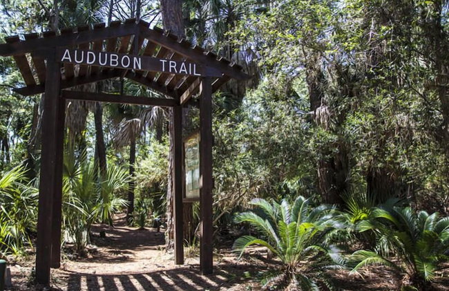 694 Bonito Rd - Foto 31