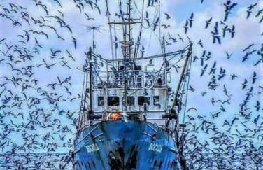 Exclusivo Chalet a Pie de Costa - Foto 59