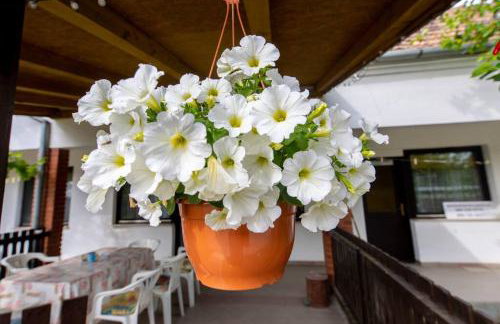 Studio apartman Ivana - Foto 9