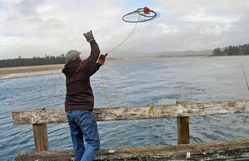 Ocean Front...Sand in your toes getaway!! - Foto 8