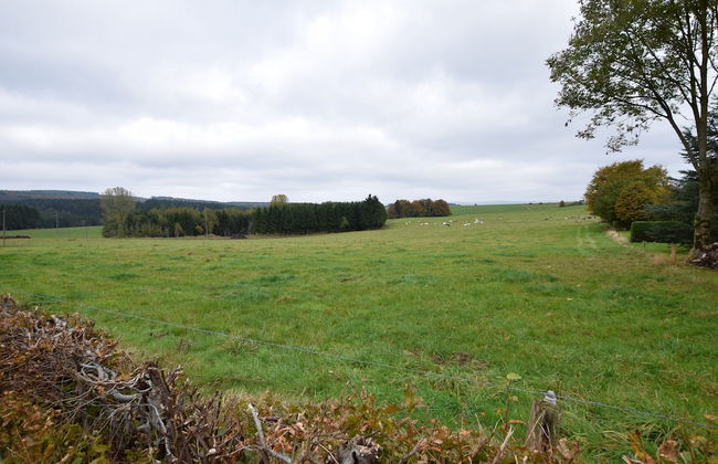 Apartment in Champlon Ardenne - Photo 36