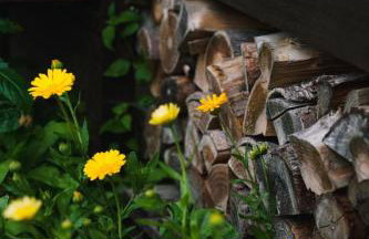 Domek w polu - Foto 30