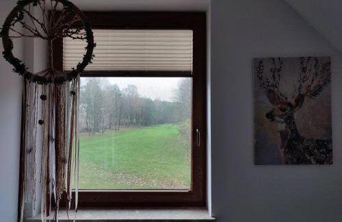 Danielówka w lesie - Foto 10