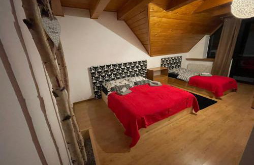 Willa Brzozówka - Photo 43