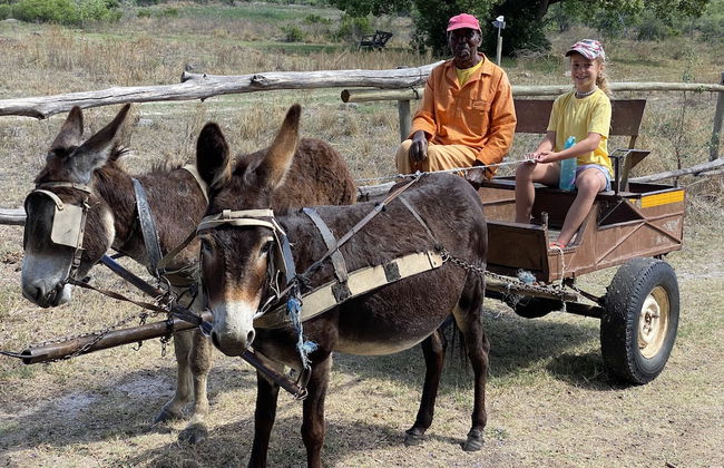 Waterberg Cottages - Foto 34