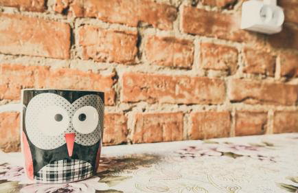 Chata na końcu świata - Foto 38