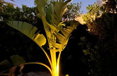 Menorca Palm Villa - Foto 7