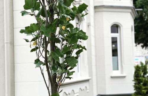 Villa Vecchia - Foto 20