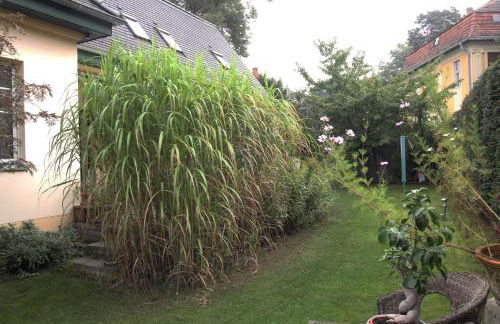 Kunsthaus Kurgan - Foto 66