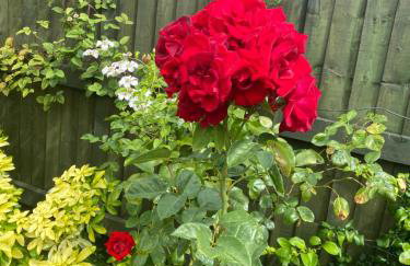 The Barn @ Bishops Lydeard - Foto 13