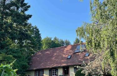 Rebhaus Durbach - Foto 9