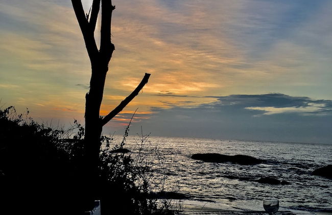 Yala Waves Beach Resort - Foto 22