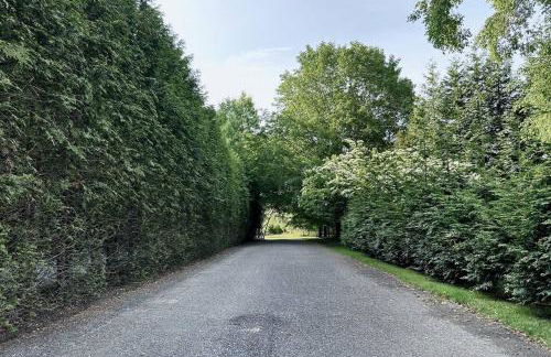 Quiet Luxury in the Heart of the Hamptons - Foto 1