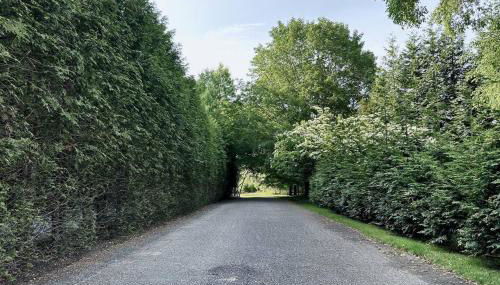 Quiet Luxury in the Heart of the Hamptons - Foto 1