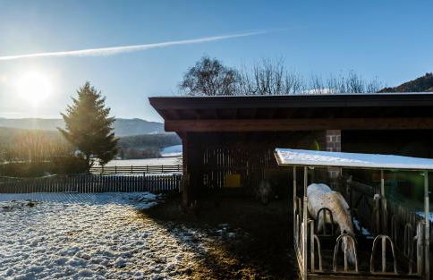 Christlrumerhof - Photo 21