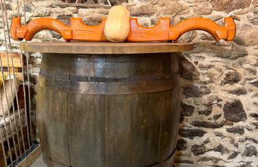 Casa do Souto - Nature & Experiences - Turismo Rural - Foto 53