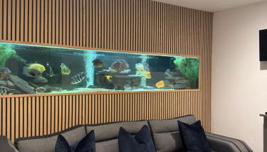 Terfyn Hall aquarium apartment 1 - Foto 4