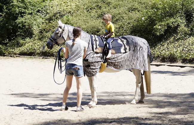 Ferienpension Lindenhof - Foto 26