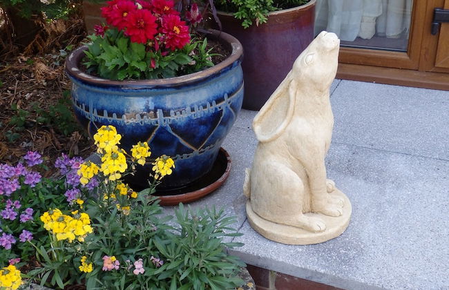 Rosehip Cottage - Foto 14