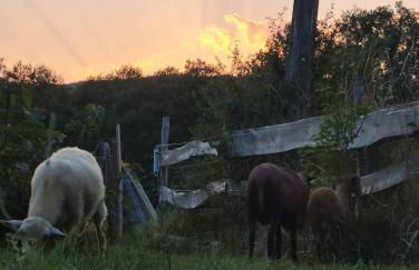 Chalet confort avec petit dejeuner - Foto 44